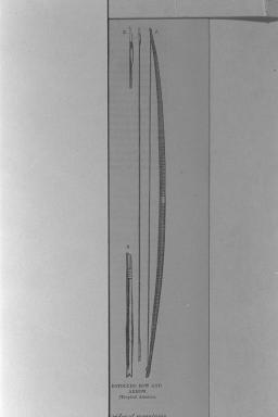 ボトクド族の弓と矢 熱帯アメリカ Botocudo Bow And Arrow Tropical America