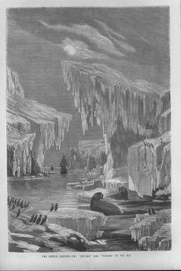 北極地方 氷の中の エレバス号 と テラー号 グランジール の素描 The Arctic Rigions The Erebus And Terror In The Ice Grandsire